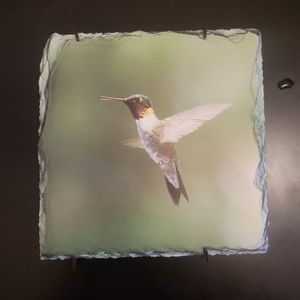 Hummingbird Decorative Tile Art